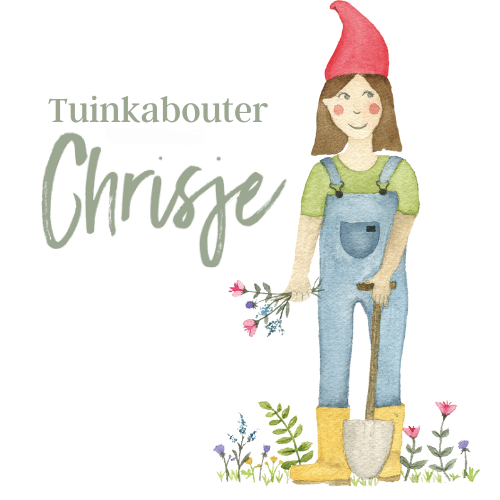 Tuinkabouter Chrisje