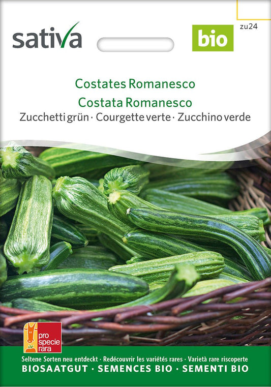 Courgettte 'Costata Romanesco' - Bio van Sativa - Tuinkabouter Chrisje