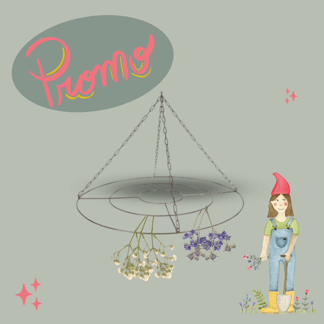 Grote Bloemendroger/ Linthanger - Tuinkabouter Chrisje