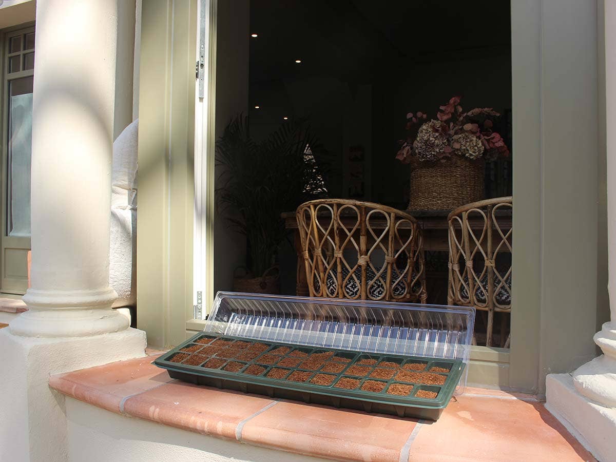 Zaaitray vensterbank 36 cellen met deksel - Tuinkabouter Chrisje