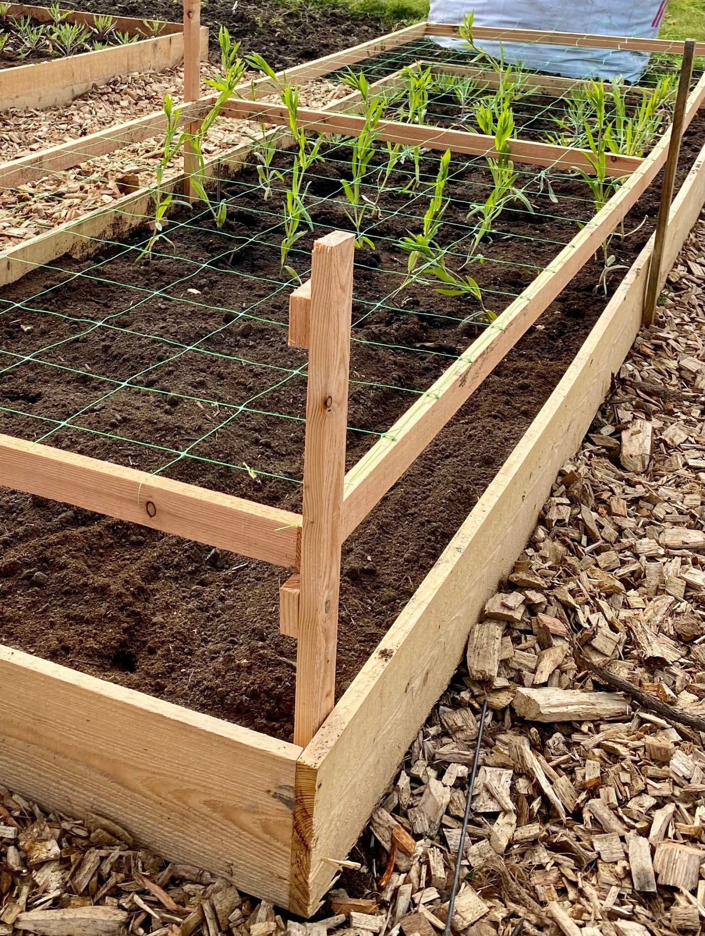 Filet à grimper 10 x 1m