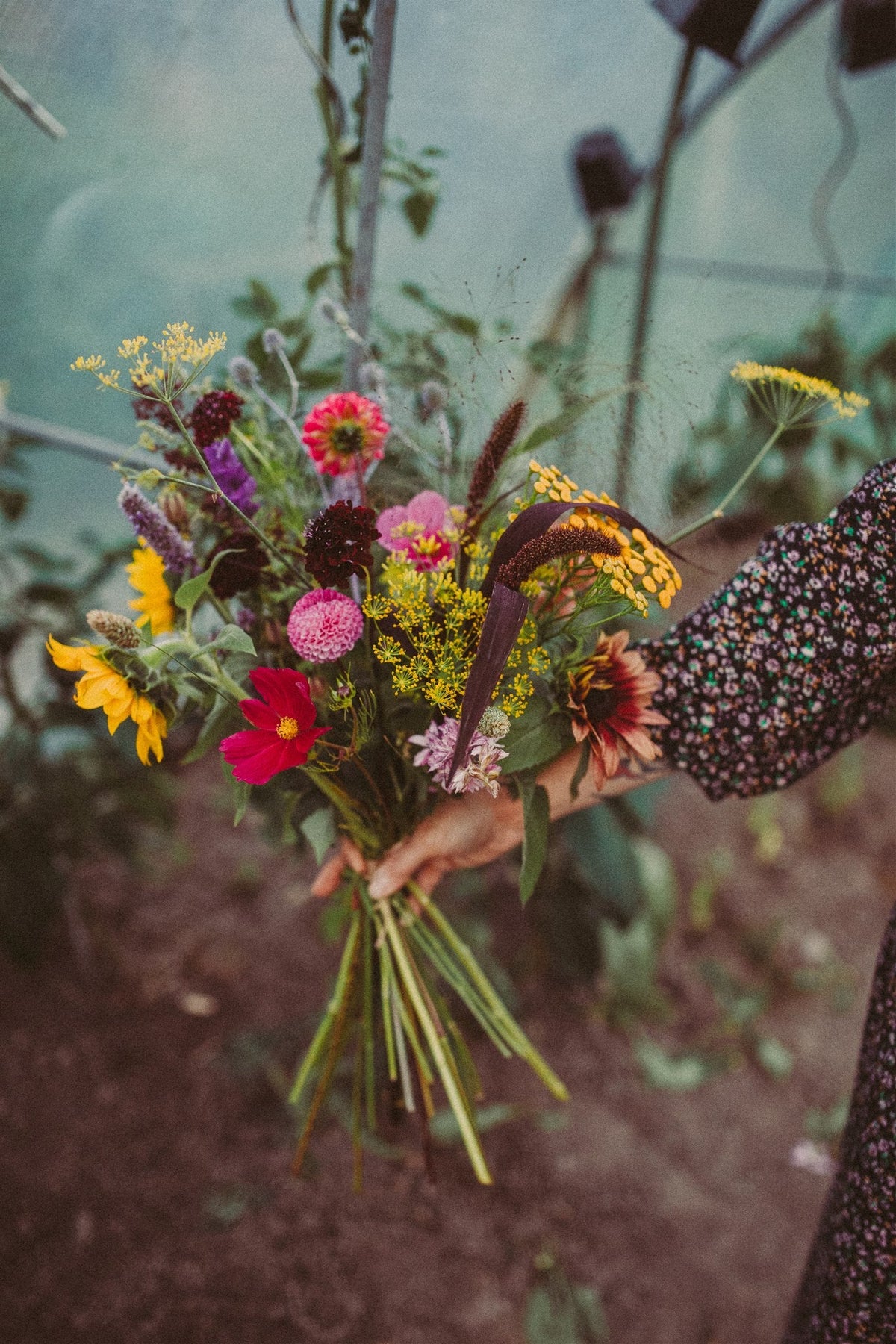 Atelier semis de fleurs : créez votre propre jardin de fleurs à couper - printemps 2027