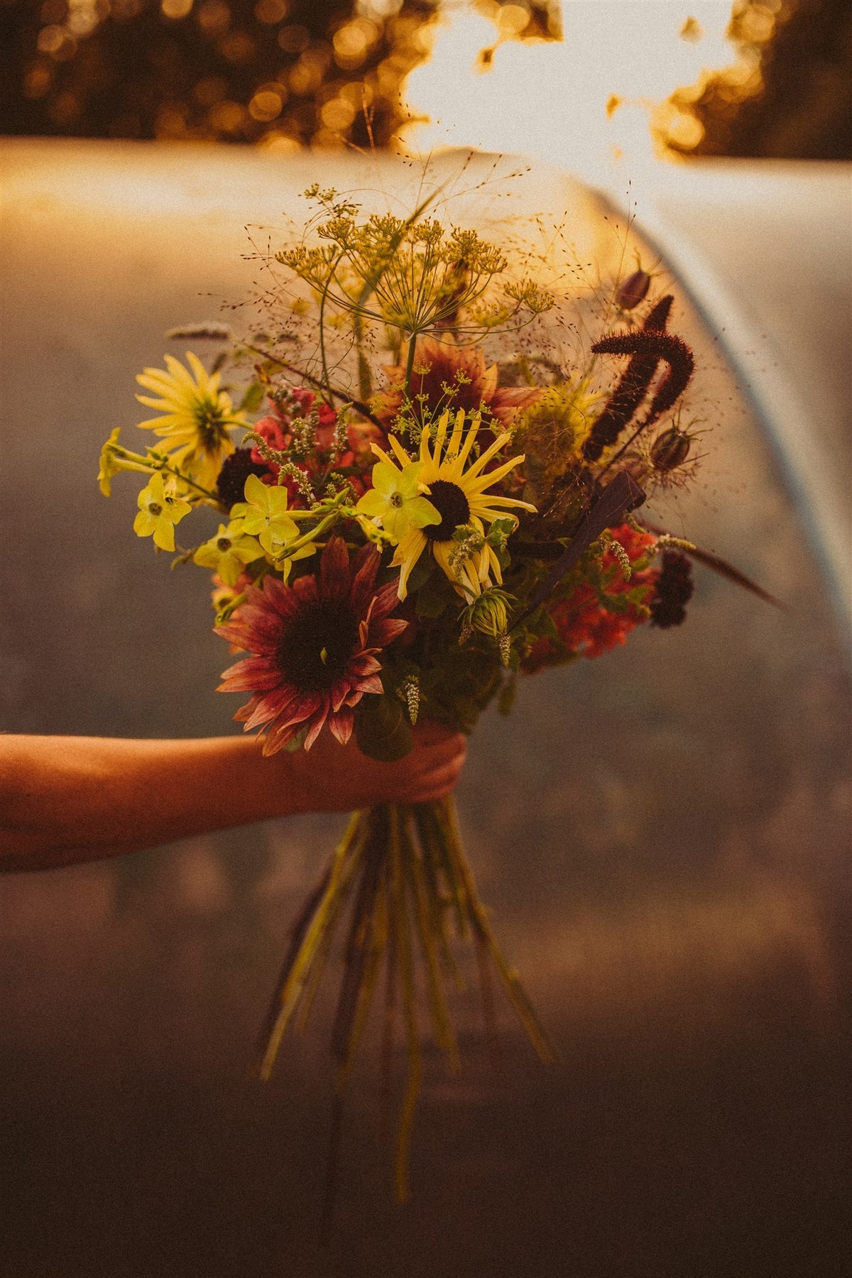 Atelier semis de fleurs : créez votre propre jardin de fleurs à couper - printemps 2027