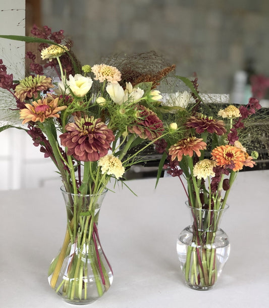 Zadenpakket " Zinnia Queen" - Tuinkabouter Chrisje