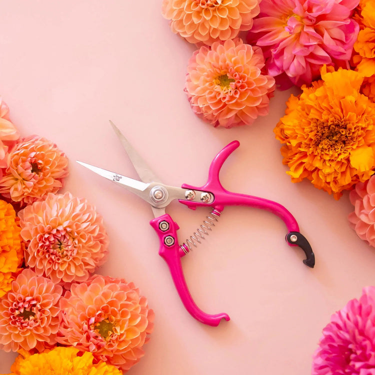 Bloemscharen – knip met precisie en plezier - Tuinkabouter Chrisje