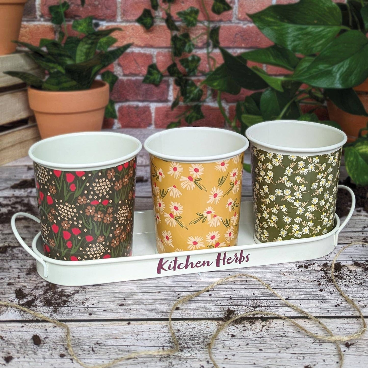 Kruidenpotjes met schaaltje – set van 3