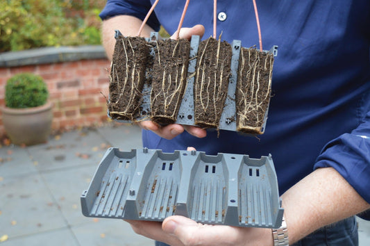 Roottrainer – complete kweekset voor sterke, diepe wortels - Tuinkabouter Chrisje