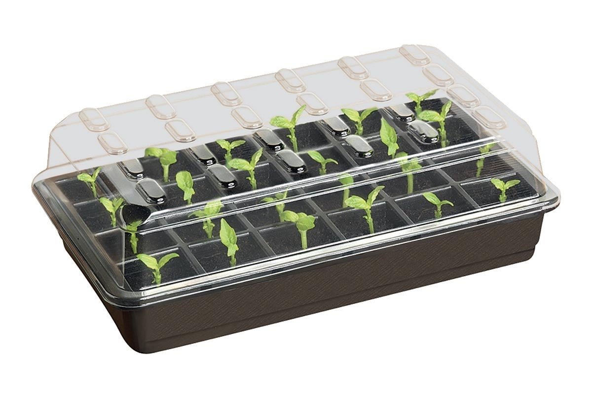 Stevige 24 cellen starterset zaaitray - Tuinkabouter Chrisje