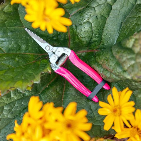 Fluorescerende roze Bloemenschaar Florabrite - Tuinkabouter Chrisje